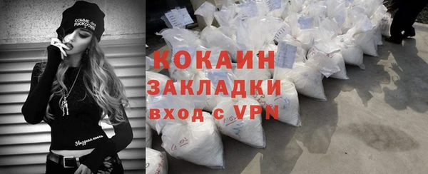 индика Белокуриха