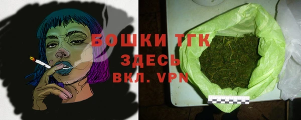 индика Белокуриха
