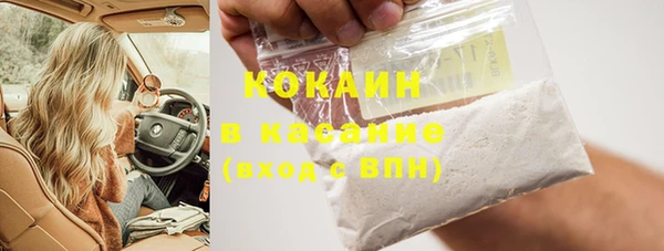 индика Белокуриха