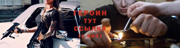 индика Белокуриха