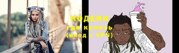 индика Белокуриха