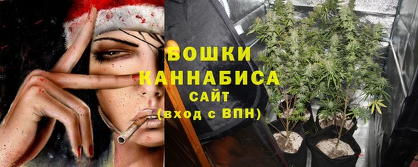 индика Белокуриха