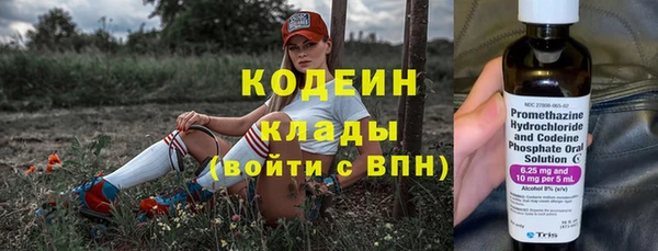 индика Белокуриха