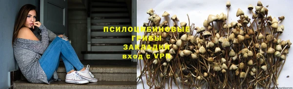 дурь Беломорск