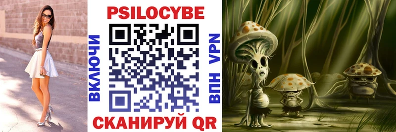 Псилоцибиновые грибы GOLDEN TEACHER Будённовск