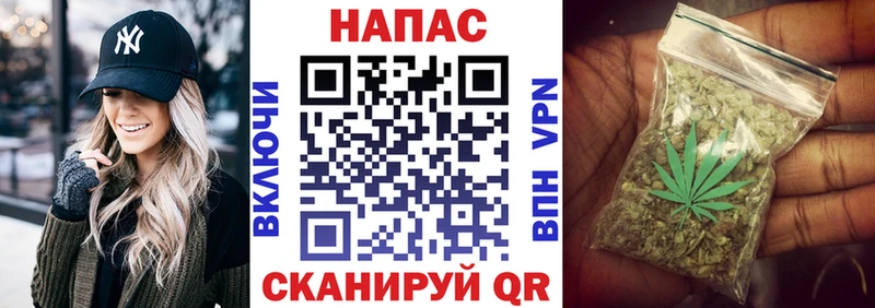 мега вход  дарк нет наркотические препараты  Шишки марихуана ГИДРОПОН  Будённовск 